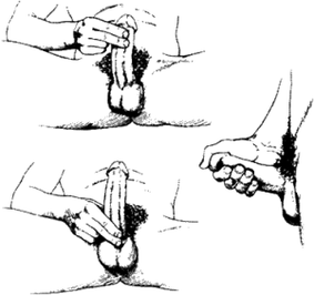 masturbação e massagem para aumentar o pênis