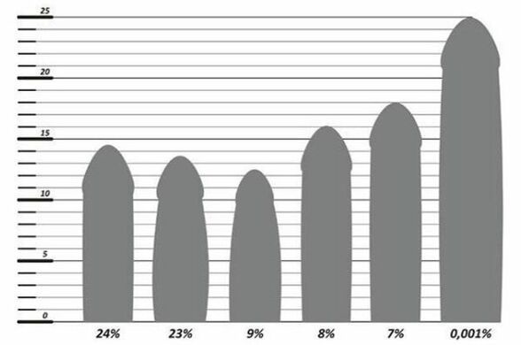 Estatísticas do tamanho do pênis